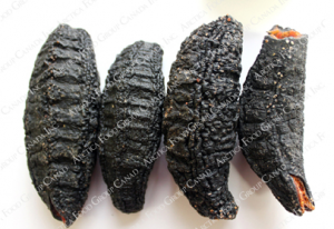 加拿大野生北极海参(Cucumaria frondosa)